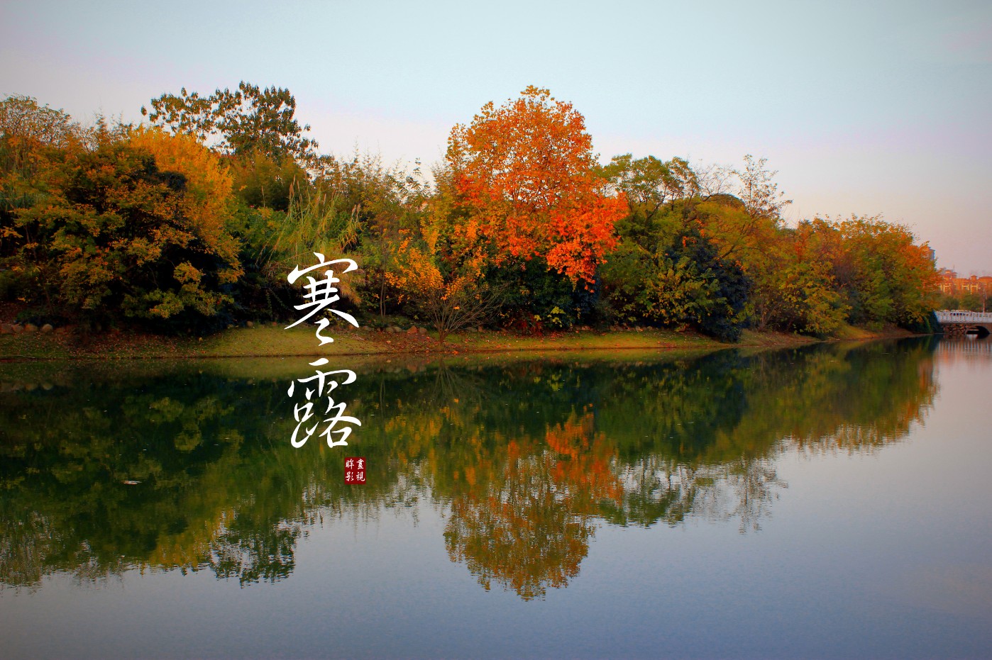 寒露